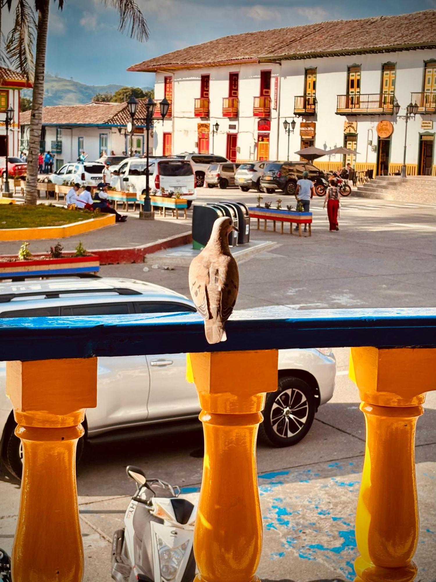 Hospedaje Camino Real A 150 Mts Del Centro Саленто Экстерьер фото
